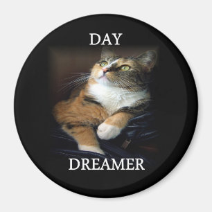 Day Dreamweaver Magnet