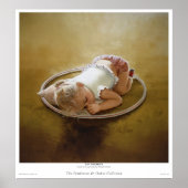 Day Dromer Poster (Voorkant)