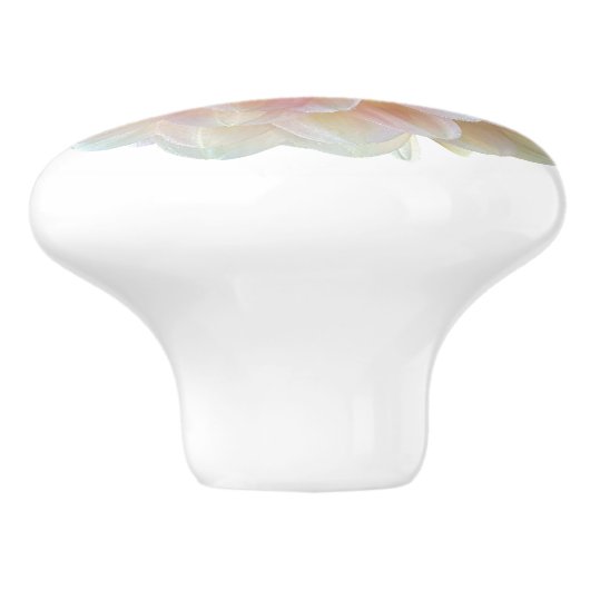 Day Dromer Waterlily Dahlia Keramische Knop (Zijkant)