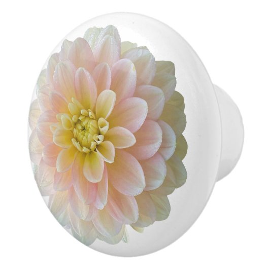 Day Dromer Waterlily Dahlia Keramische Knop (Rechts)