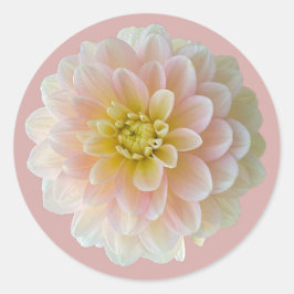 Day Dromer Waterlily Dahlia Ronde Sticker