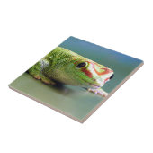 Day Gecko Tegeltje (Zijkant)