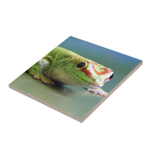 Day Gecko Tegeltje (Zijkant)