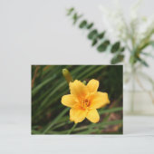 Day Lily Briefkaart (Staand voorkant)