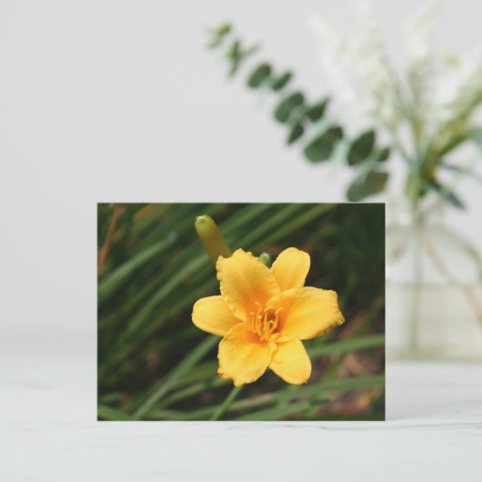 Day Lily Briefkaart (Staand voorkant)