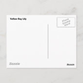 Day Lily Briefkaart (Achterkant)