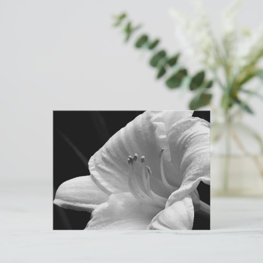 Day Lily Briefkaart (Staand voorkant)