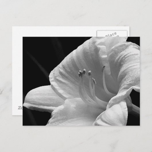 Day Lily Briefkaart (Voorkant / Achterkant)