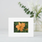 Day Lily Briefkaart (Staand voorkant)