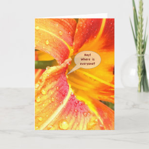 Day Lily Close Crop Missing You version 2 Kaart
