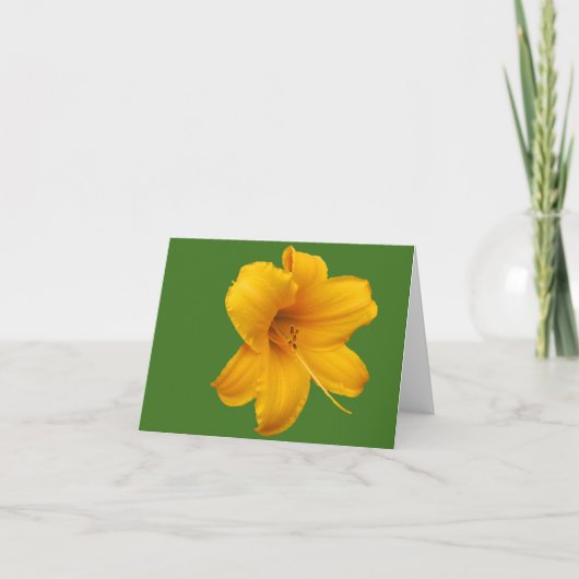 Day Lily Note Kaart (Voorkant)