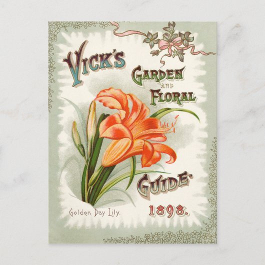 Day Lily Seed Packet  Briefkaart (Voorkant)
