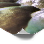 Day Octopus Poster (Hoek)