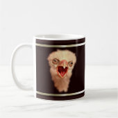 Day Old Falcon Chick Koffiemok (Links)