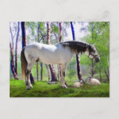 "Daybreak" Briefkaart (Voorkant)