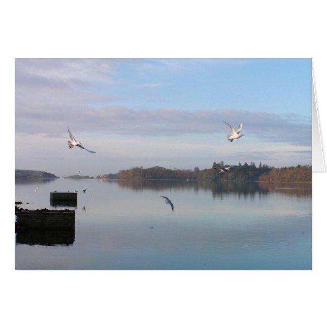 DAYBREAK, DONEGAL BAY (Voorkant Horizontaal)