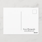 Daybreak op Lake Chapala Shores Briefkaart (Achterkant)