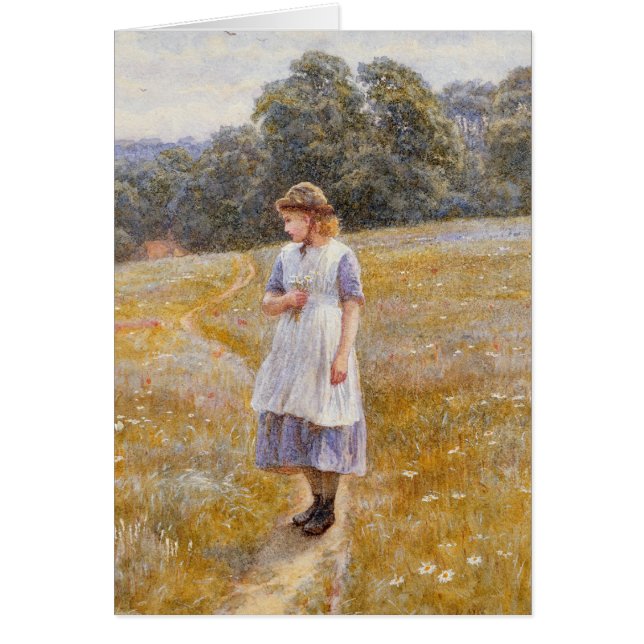 Daydreamer 1878 (Voorkant)