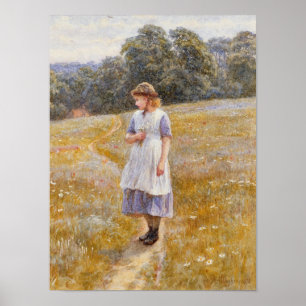 Daydreamer 1878 poster