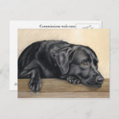 Daydreamer Briefkaart (Voorkant / Achterkant)