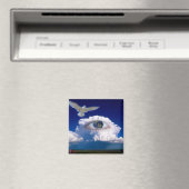 Daydreaming Magneet (Insitu (Vaatwasser))