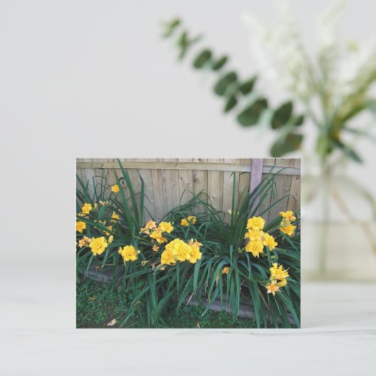 Daylileugens Briefkaart (Staand voorkant)