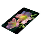 Daylileugens Magneet (Linkerzijde)