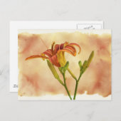Daylilies - Hemerocallis Briefkaart (Voorkant / Achterkant)