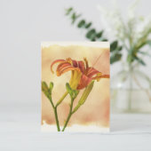 Daylilies - Hemerocallis Briefkaart (Staand voorkant)