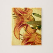 Daylilies - Hemerocallis Legpuzzel (Verticaal)