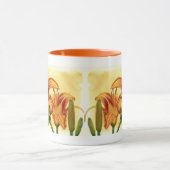 Daylilies - Hemerocallis Mok (Midden)