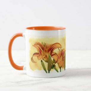 Daylilies - Hemerocallis Mok