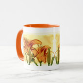 Daylilies - Hemerocallis Mok (Voorkant links)