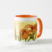 Daylilies - Hemerocallis Mok (Voorkant rechts)