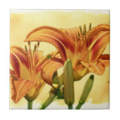 Daylilies - Hemerocallis Tegeltje (Voorkant)