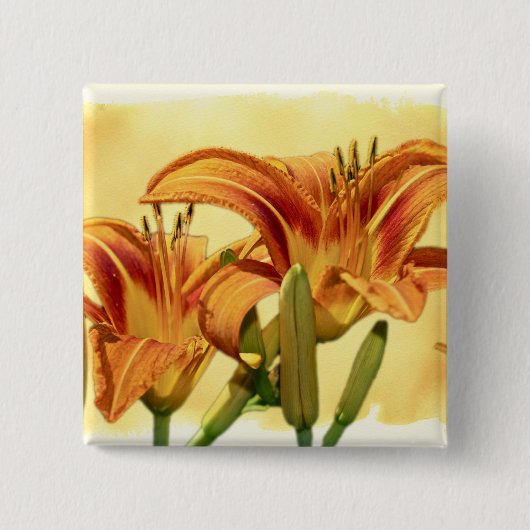 Daylilies - Hemerocallis Vierkante Button 5,1 Cm (Voorkant)