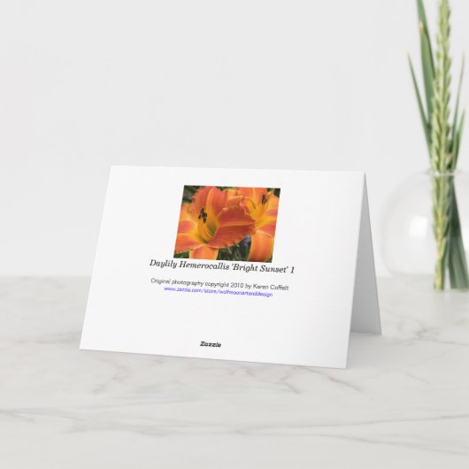 Daylilies/Oranje Lelie/Gelukkige Verjaardag Kaart (Achterkant)