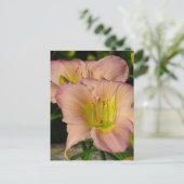 Daylillies Briefkaart (Staand voorkant)