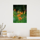 Daylillies, Sinaasappel Poster (Keuken)
