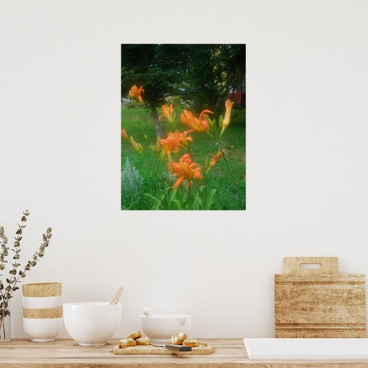 Daylillies, Sinaasappel Poster (Keuken)