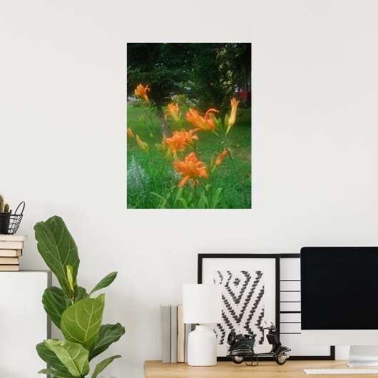Daylillies, Sinaasappel Poster (Thuiskantoor)