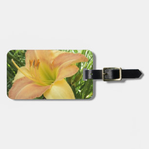 DAYLILY "Blond Baby" — Bagagelabel