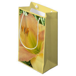 DAYLILY "Blond Baby" — Geel groen sinaasappel. Klein Cadeauzakje