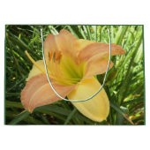 DAYLILY "Blond Baby" — Geel groen sinaasappel. Large Cadeautasje (Voorkant)