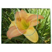 DAYLILY "Blond Baby" — Geel groen sinaasappel. Large Cadeautasje (Achterkant)