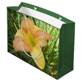 DAYLILY "Blond Baby" — Geel groen sinaasappel. Large Cadeautasje