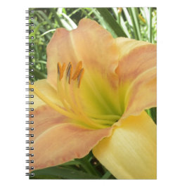 DAYLILY "Blond Baby" — Geel groen sinaasappel. Notitieboek