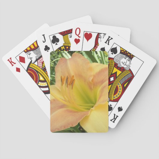 DAYLILY "Blond Baby" — Speelkaarten (Achterkant)