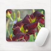 Daylily ' Bordeaux' Muismat (Met muis)
