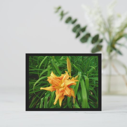 Daylily Briefkaart (Staand voorkant)